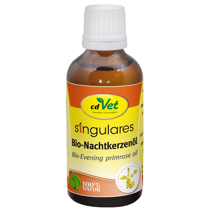 Singulares Bio-Nachtkerzenöl DAB 50ml