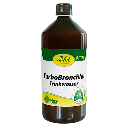 TurboBronchial Trinkwasser 25L Hinweis: ADR Gefahrgut UN 1993