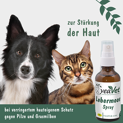 VeaVet Lebermoos Spray 20 ml