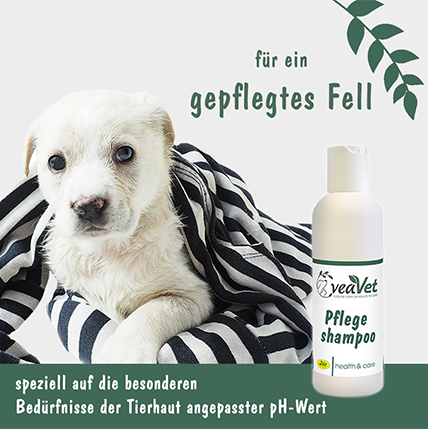 VeaVet Pflegeshampoo 100 ml