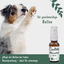 VeaVet Pfotenpflegespray 20ml