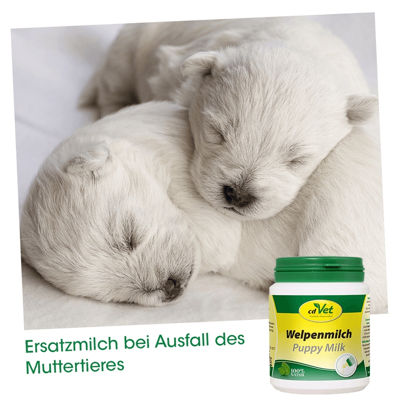 Welpenmilch 3 kg