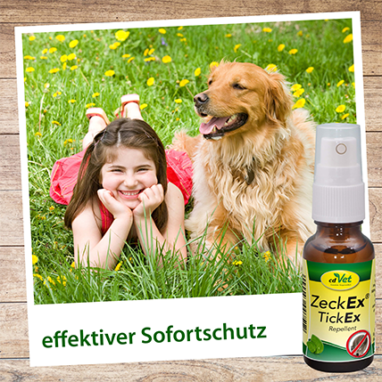 ZeckEx 500 ml