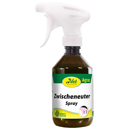 Zwischeneuter Spray 5 Liter